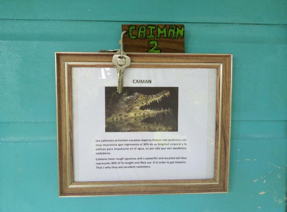 Cabinas Тортугеро Экстерьер фото